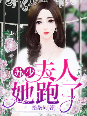 苏少夫人她跑了，苏少夫人要离婚，离婚短剧，一口气看完--第1张