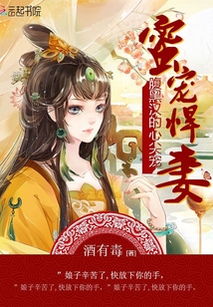 四爷的心尖宠妃，宫廷秘史--第1张
