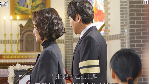 财阀继承人，揭开财阀家族神秘面纱的短剧--第1张