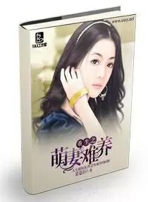 重生之罐头换飞机的逆袭人生--第1张