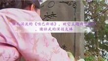 替嫁后，秦太太被迫靠演技苟活，替嫁新娘秦洛洛的生存之道--第1张