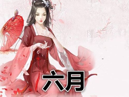 权宠悍妻短剧全集免费看_权宠悍妻完结版--第1张