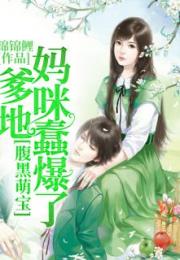 穿越萌宝之爹爹请投降--第1张