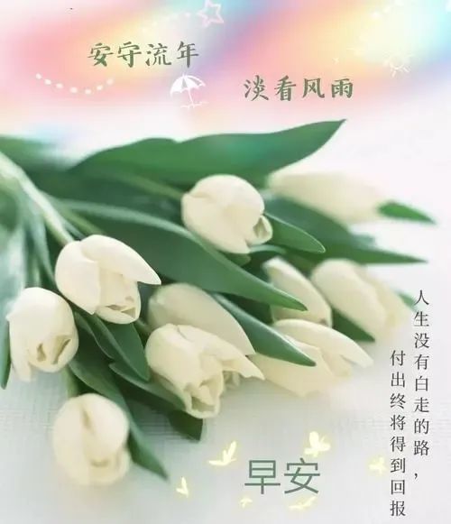 再见，祝你幸福，短剧一口气看完--第1张