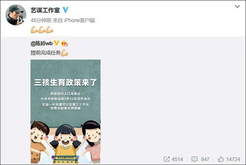 重生成婚前短剧一口气看完 重生婚然生成--第1张