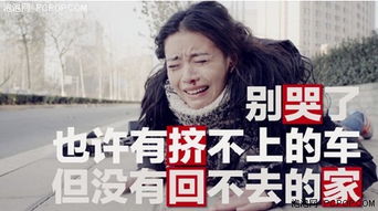 爹地快把妈咪抢回家短剧，一胎三宝下载--第1张
