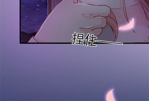 豪门总裁，夜少的心尖宠--第1张
