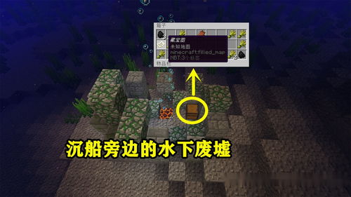 我在生存游戏中当大佬，开局扮演NPC，逆袭成最强玩家--第1张