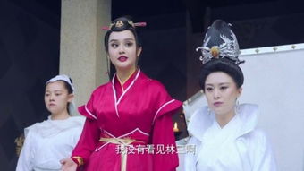 穿越之大小姐的极品家丁短剧一口气看完 穿越之大小姐驾到 小说--第1张