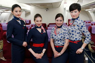 我的空乘 我的空姐老婆飞翔人生，空中初探云诱短剧一口气看完--第1张