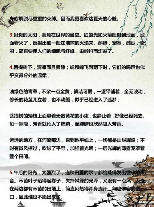假如给我天光明的希望--第1张