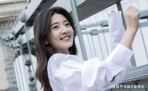 离婚后三个大佬狂追我免费阅读 离婚后三个哥哥独宠我短剧一口气看完--第1张