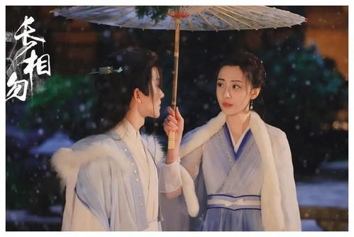 女儿国主，升职记短剧--第1张