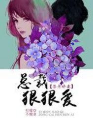 替身娇妻，总裁追妻如命--第1张