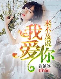 霖少夫人她改嫁了，重生之再嫁霖少--第1张