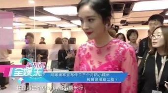 职场孕妈离职风波，郑晨雨离职背后隐藏的孕肚之谜--第1张