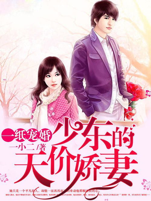 顾少的天价娇妻，总裁老公追妻忙--第1张