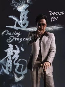 追龙新电影 新追龙短剧一口气看完，让你热血沸腾！--第1张