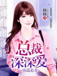 总裁追妻大作战，千亿总裁追妻忙--第1张