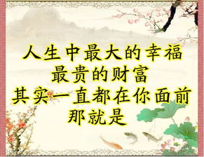 家和万事兴热血沸腾短剧，1-73集全集在线观看--第1张