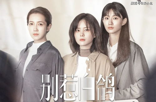 下山退九份婚约 高手下山退婚九个未婚妻短剧，一口气看完！--第1张