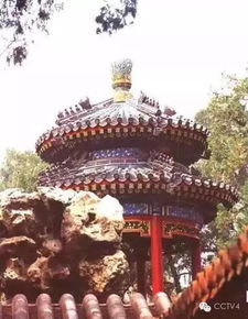 青龙殿图片 青龙殿短剧一口气看完--第1张