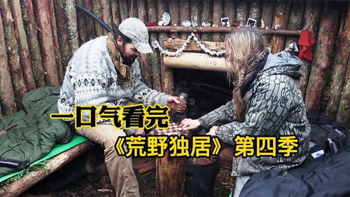 荒岛求生，荒岛短剧，一口气看完免费--第1张