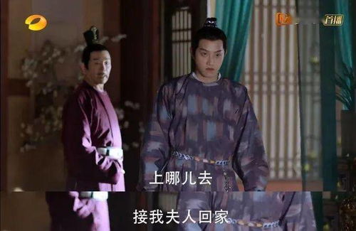 君少,夫人又掉马甲了免费阅读 君总夫人带着少爷回家了短剧一口气看完--第1张