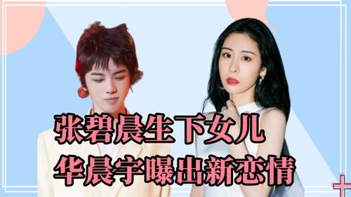 霍总，别再婚了！短剧一口气看完--第1张