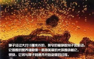 吻月亮短剧，月光下的浪漫奇遇--第1张