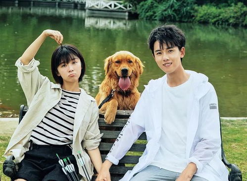 植物人新郎结婚流泪是什么电视剧 新婚夜植物人老公被我撩醒了短剧一口气看完--第1张