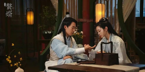 赘婿神婿，顶级神婿免费阅读--第1张