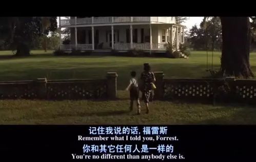 我的反转生活 我的反转人生路--第1张