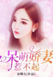 顾总宋秘书要去父留子了短剧一口气看完 顾什么宋什么的小说--第1张