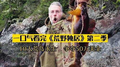 荒岛求生，荒岛短剧，一口气看完免费--第1张
