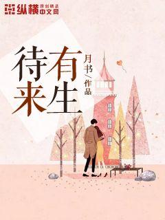 叶总是什么小说 叶总来生不愿再相见--第1张