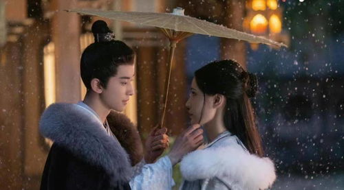 神医佳婿短剧一口气看完 《神医佳婿》--第1张
