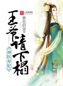 弃妃难宠，王爷请赐教--第1张