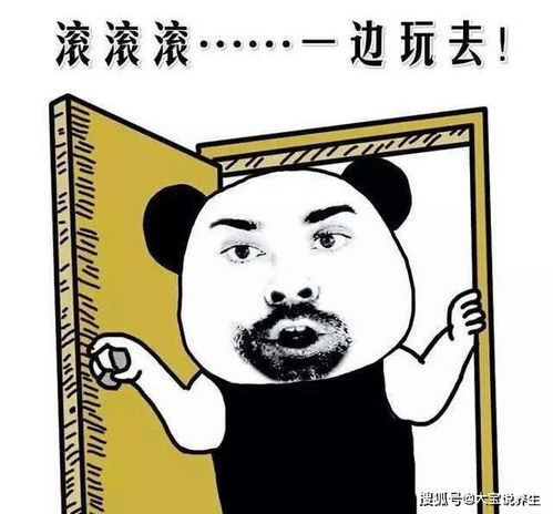 三个大佬哥哥的传奇人生--第1张
