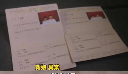 总裁夫人要离婚，总裁马甲掉了--第1张