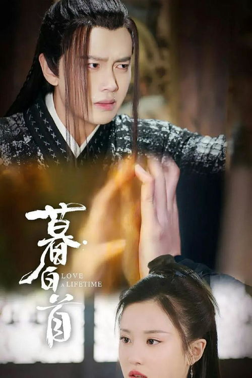 什么风知我意 岚风知我意短剧一口气看完--第1张
