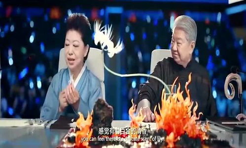 重生年代当食神短剧一口气看完 重生年代当神医百度百科--第1张
