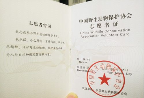 工业大摸底我上交了超级芯片金榜题名终有时金榜题名被顶替一怒上交光刻机短剧一口气看完 --第1张