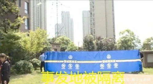 饶了她吧！替身情人，洛少的短剧一口气看完--第1张