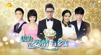 如果爱情有尽头，短剧抢先看完整版--第1张