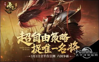 大夏无双，君主短剧抢先看完整版百度云资源分享--第1张