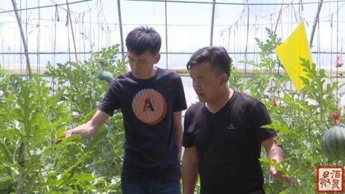 谢你赠我三千风霜短剧抢先看完整版 谢你赠我这匕首 --第1张