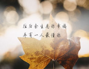 遇见你情深缘浅，短剧抢先看完整版--第1张