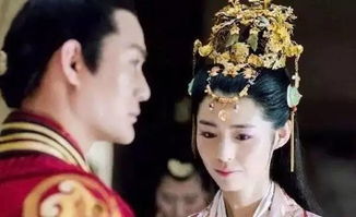  短剧抢先看完整版这个王妃有点野，回到古代当王妃，倾世王妃要休夫！ --第1张