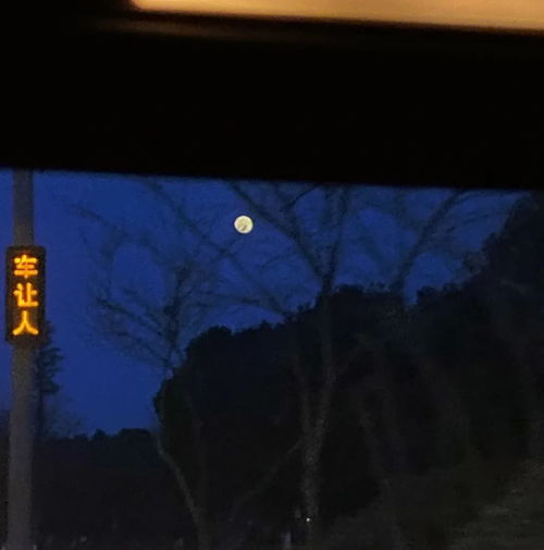 手握星辰终是你表情包抢先看完整版--第1张